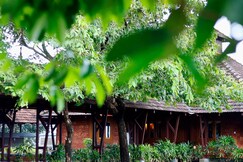 Sandal Mist Resort & Spa