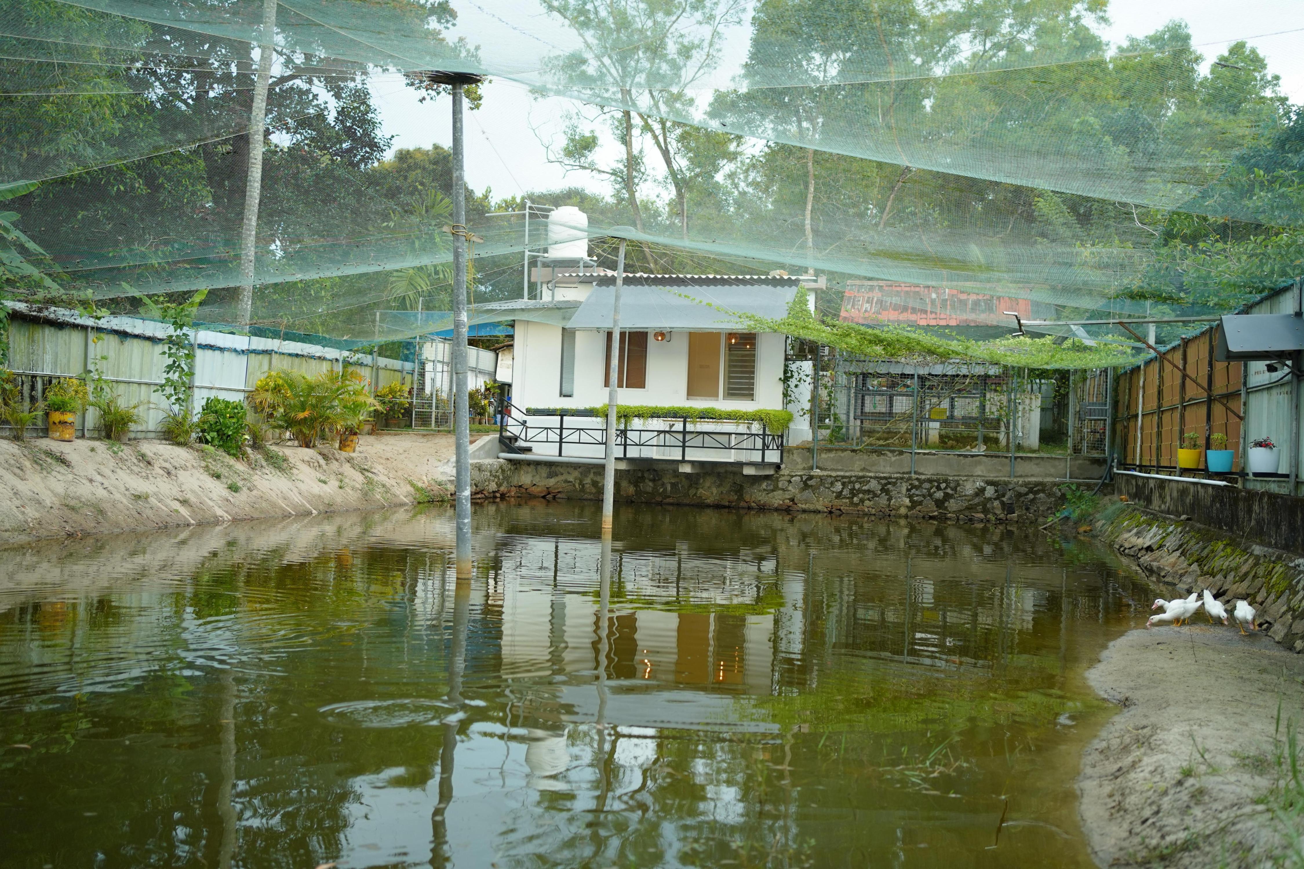 Marari Farm Heritage Inn - Tap to explore photos