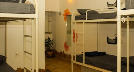 Summer Hostel Palolem Room Type - 6 Bed Female Dormitory