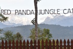 Red Panda Jungle Camp