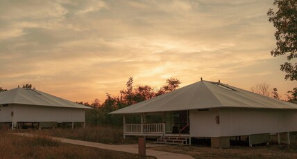 Tree of Life Ramvilas, Bandhavgarh Room Type - Luxury Tent