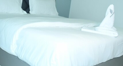 Hotel silver leaf Room Type - Super deluxe