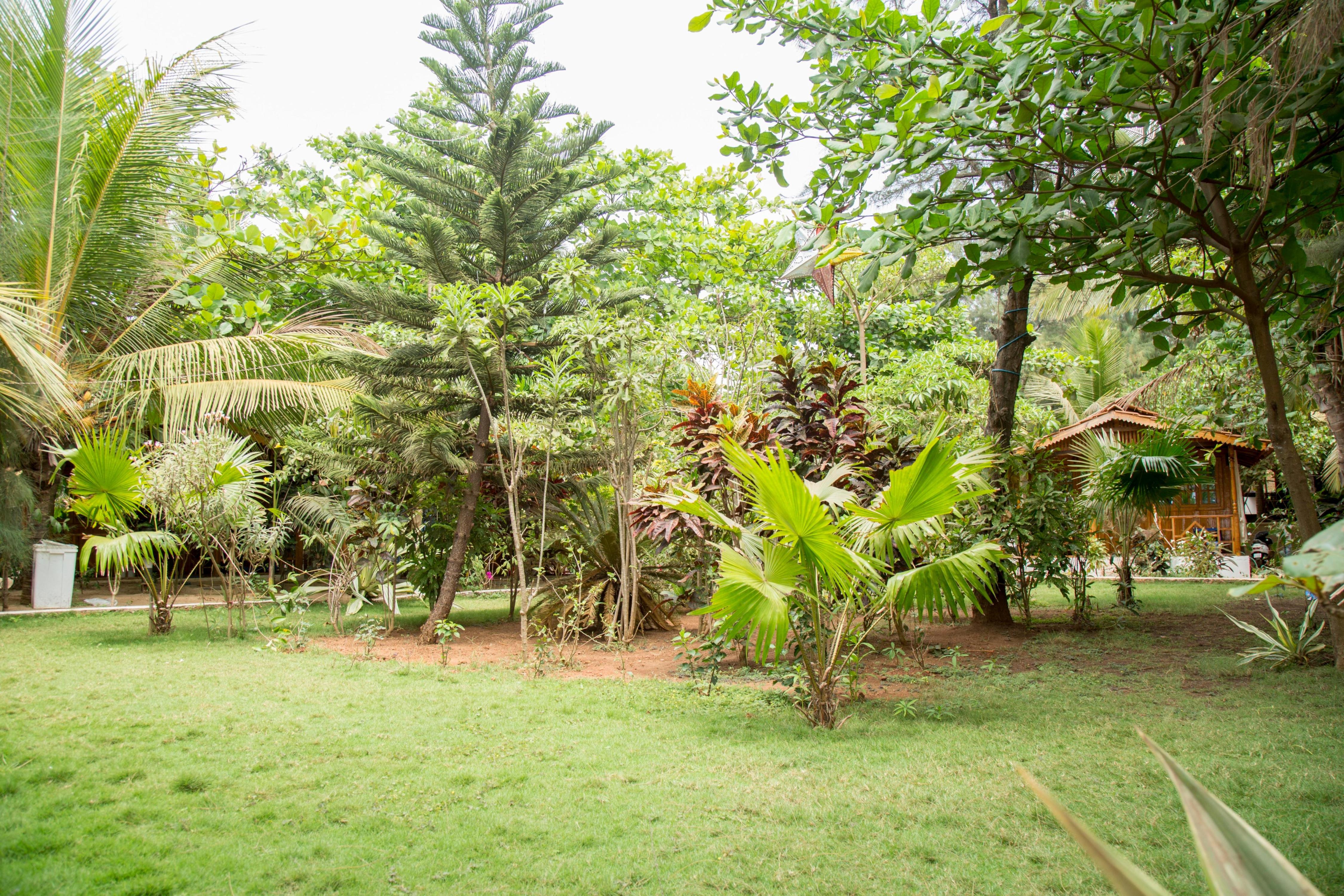 Seaesta Resort Agonda - Tap to explore photos