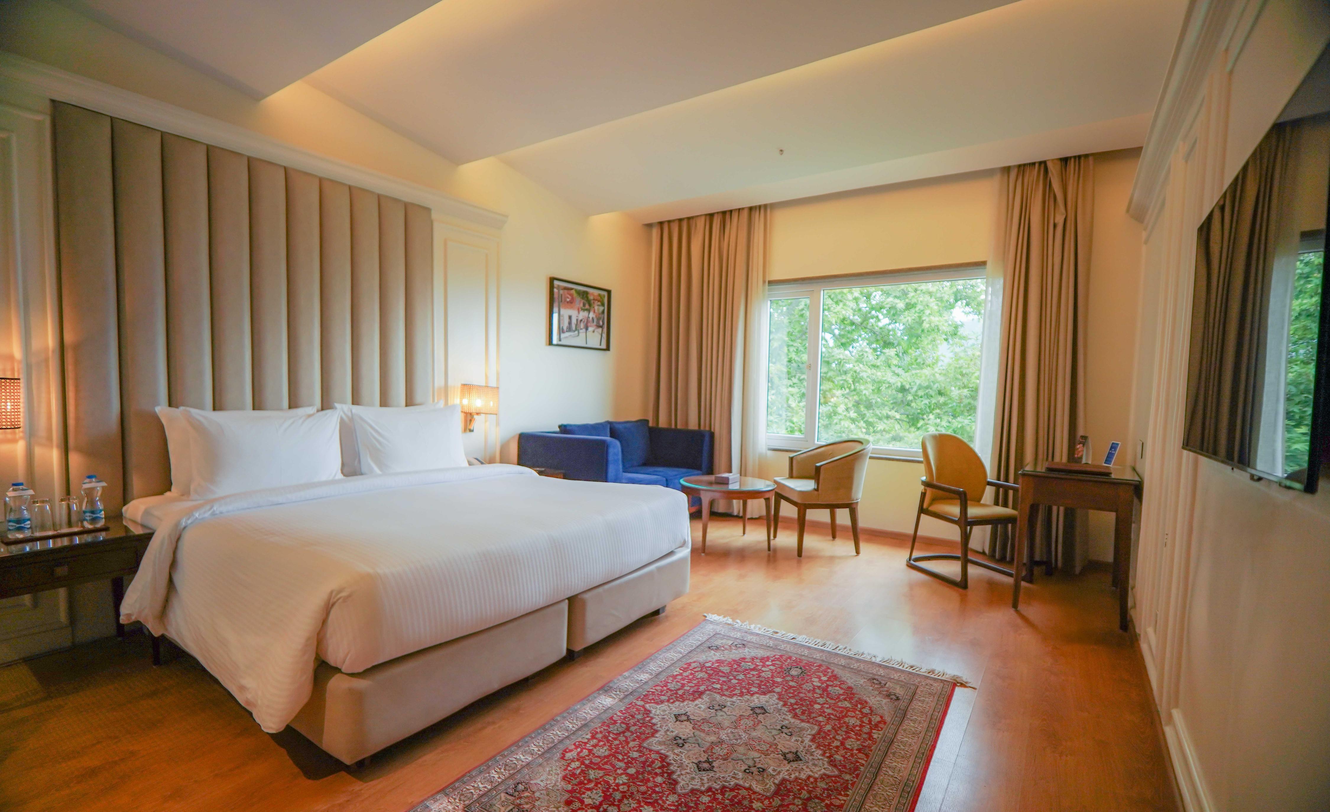 Sarovar Premiere Srinagar Room Type - Standard Room - 1 Double Bed