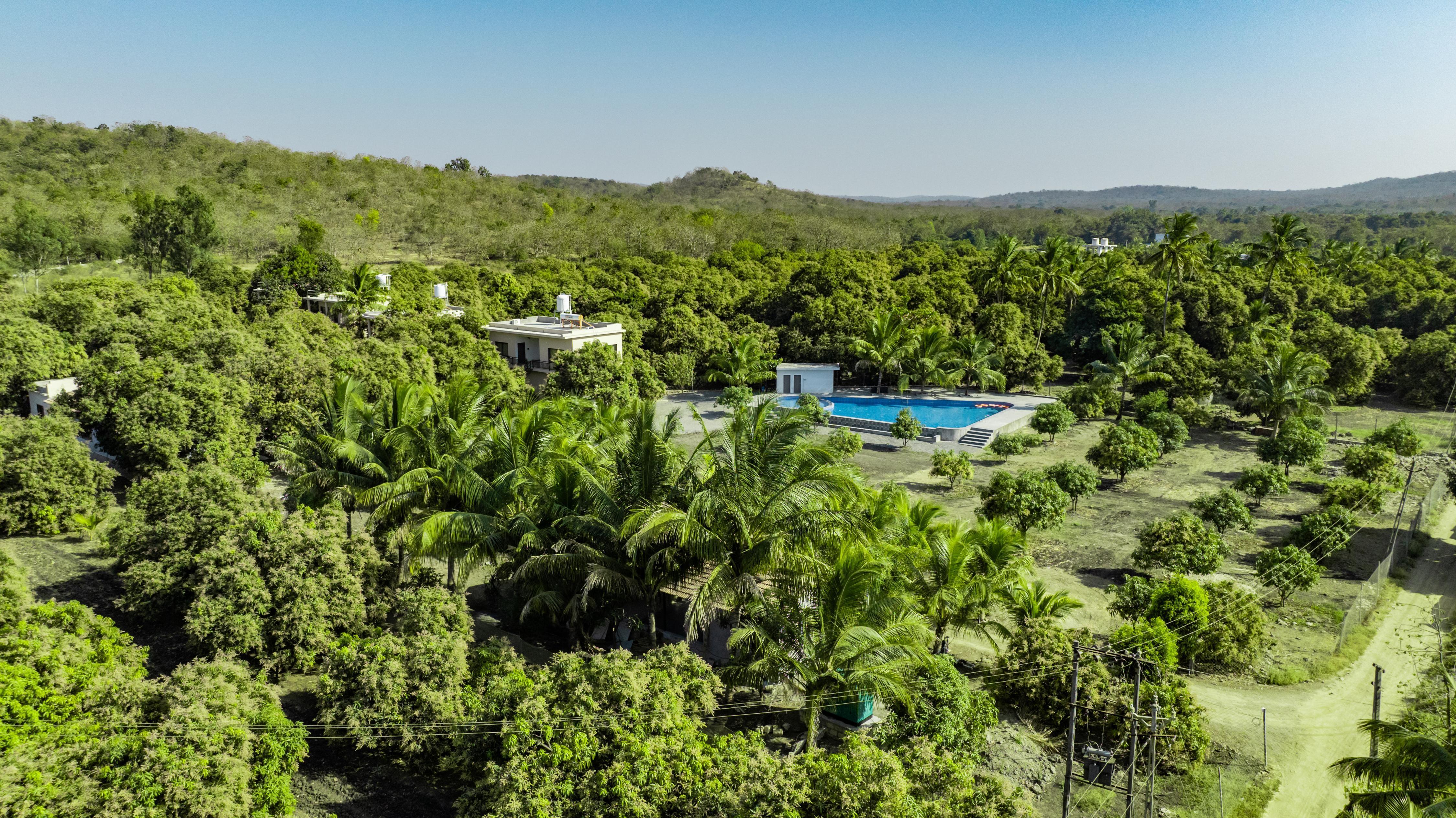 Aatman Forest Resort  A Luxury Stay in Sasan Gir