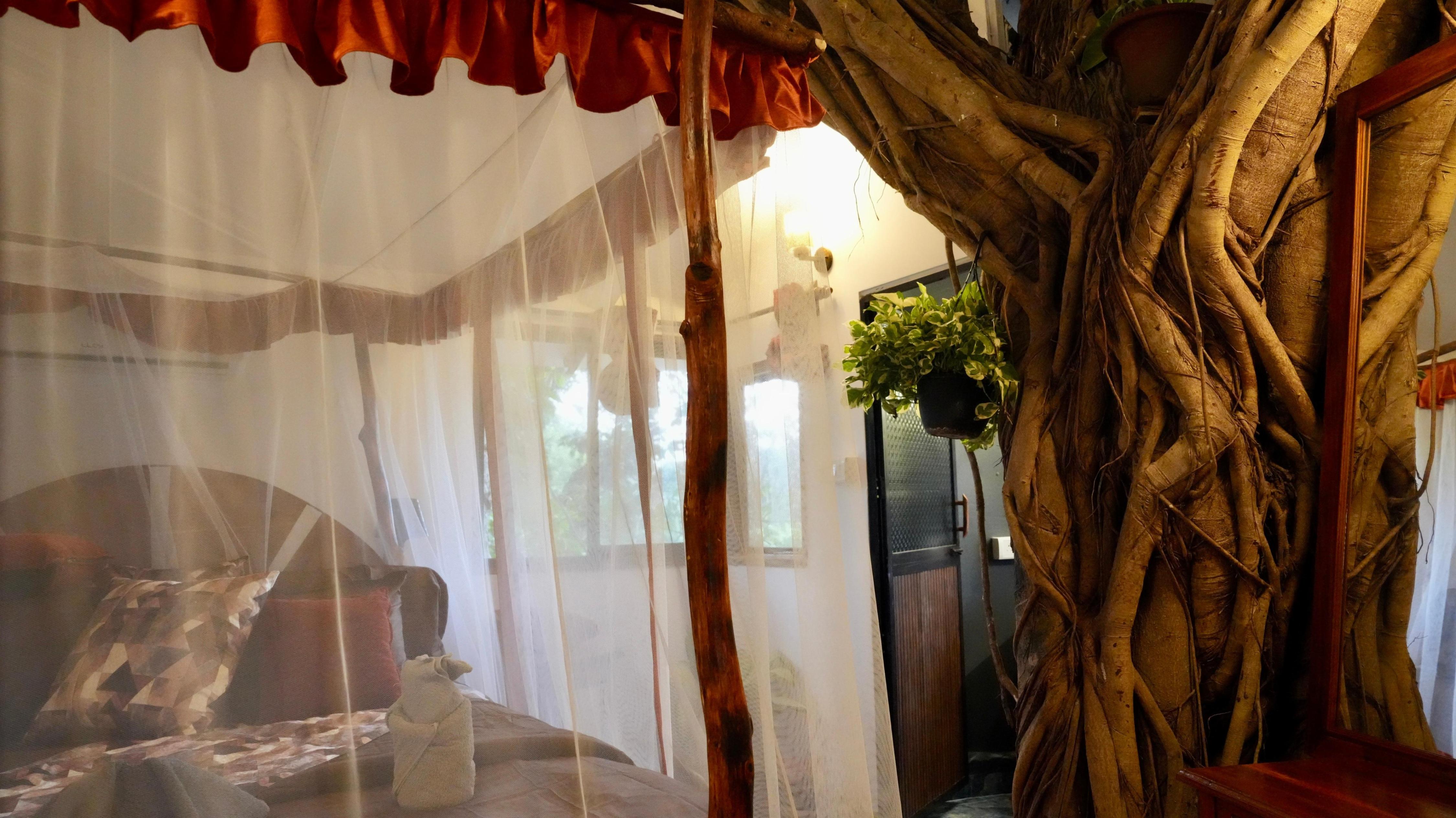 Coutinhos Tree House - Tap to explore photos