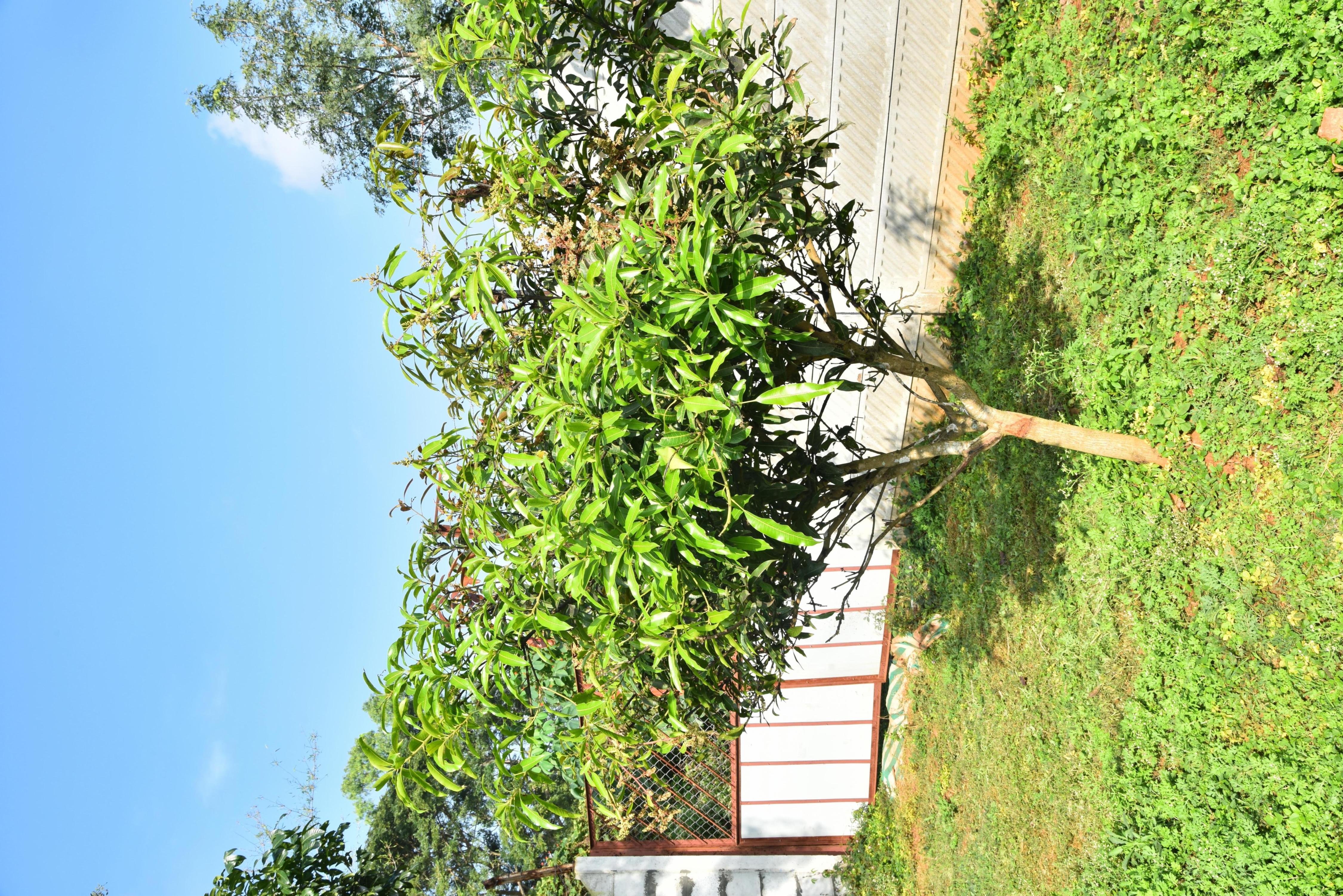 SKYOSIRI - Tap to explore photos