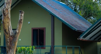 The Rain Tree Resort Room Type - Pillar hut
