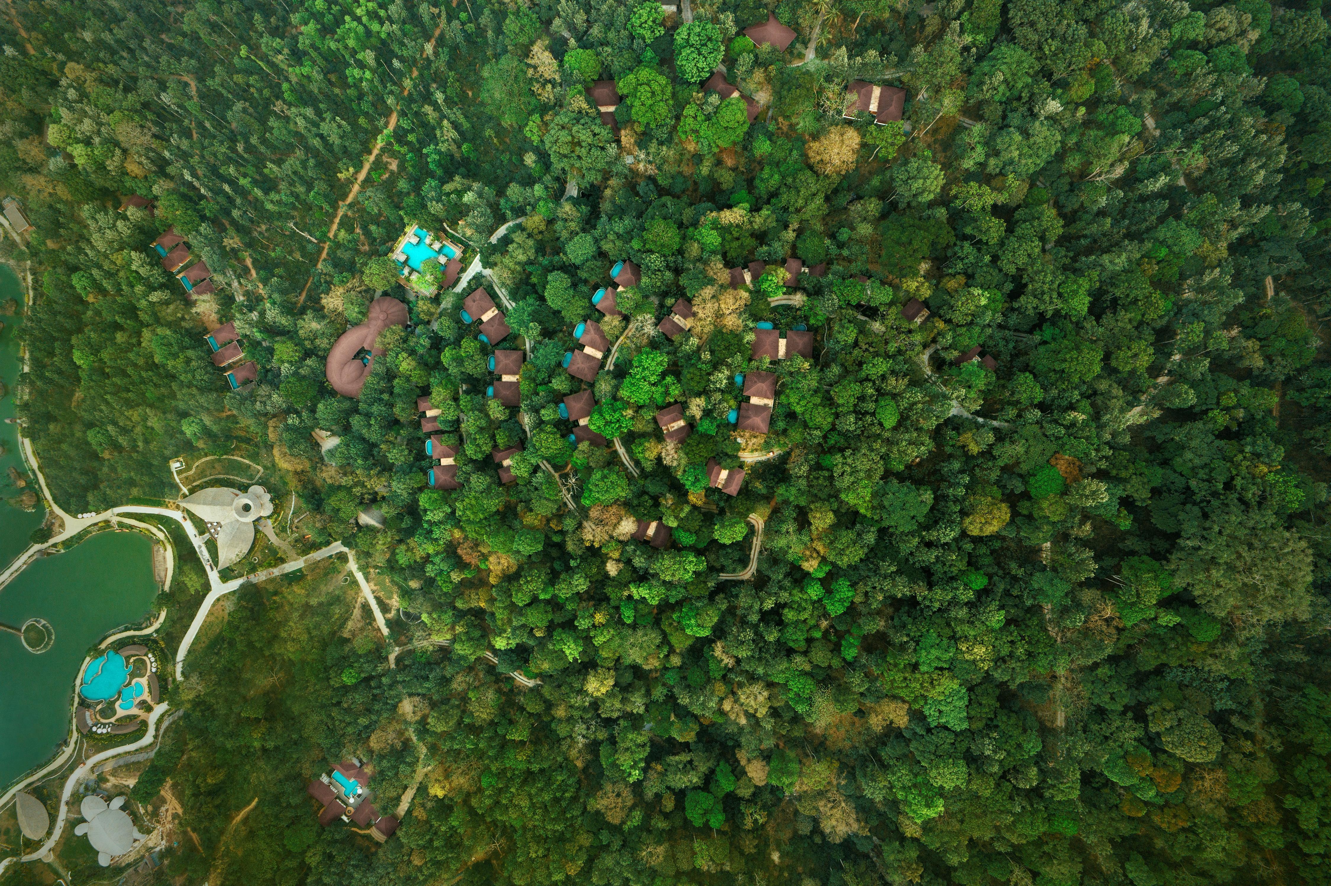 Timbertales Luxury Resort, Coorg