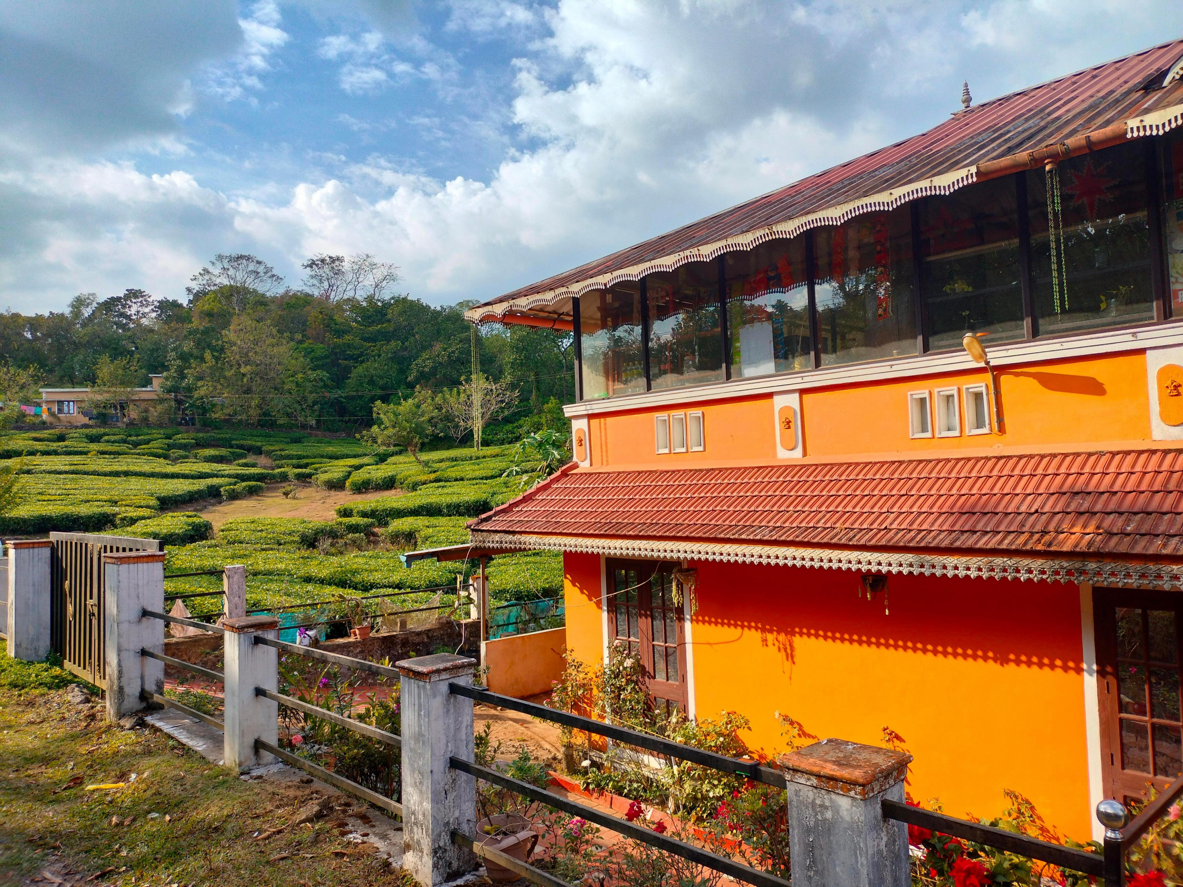 Lollipop Homestay