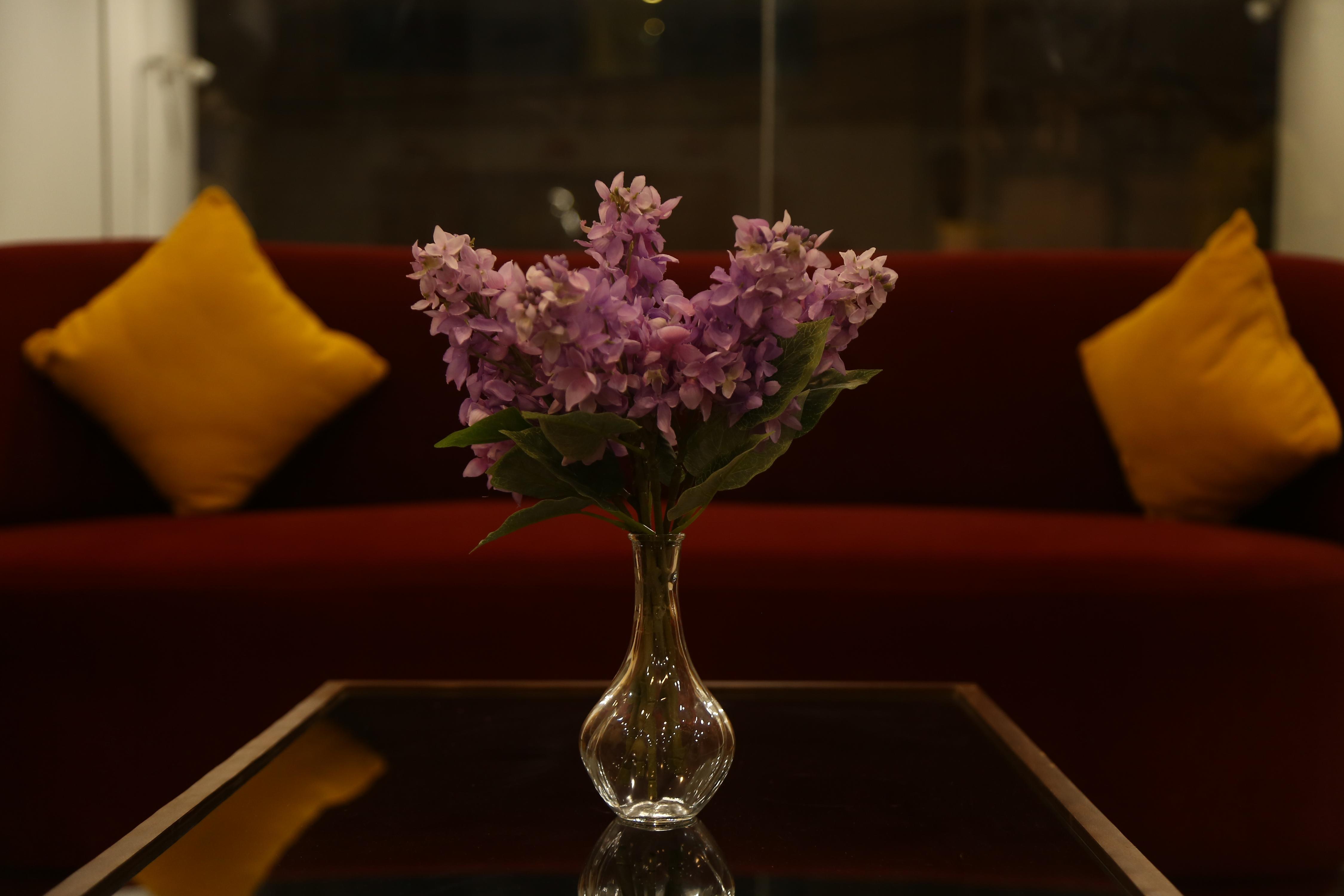 Grand Maalyasa Hotel and Suites US Consulate - Tap to explore photos