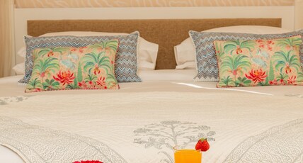 Laalee Homestay Jaipur Room Type - Jal