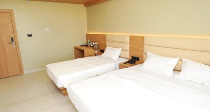 Hotel Anvi Room Type - Executive plus