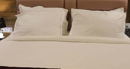 THE ASHIYANA PRIDE Room Type - executive