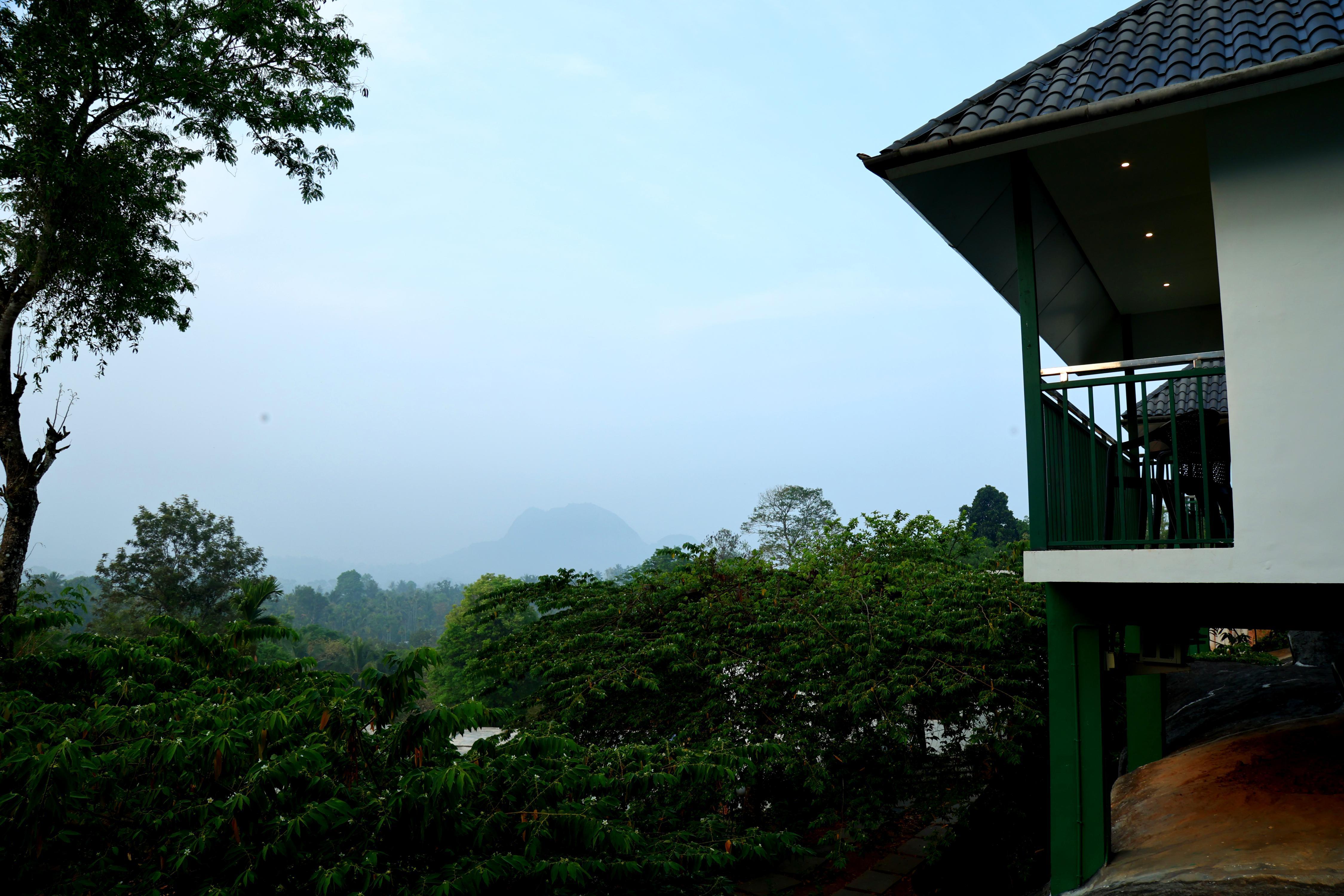 Wayanad Cave And Pillor Resort - Tap to explore photos