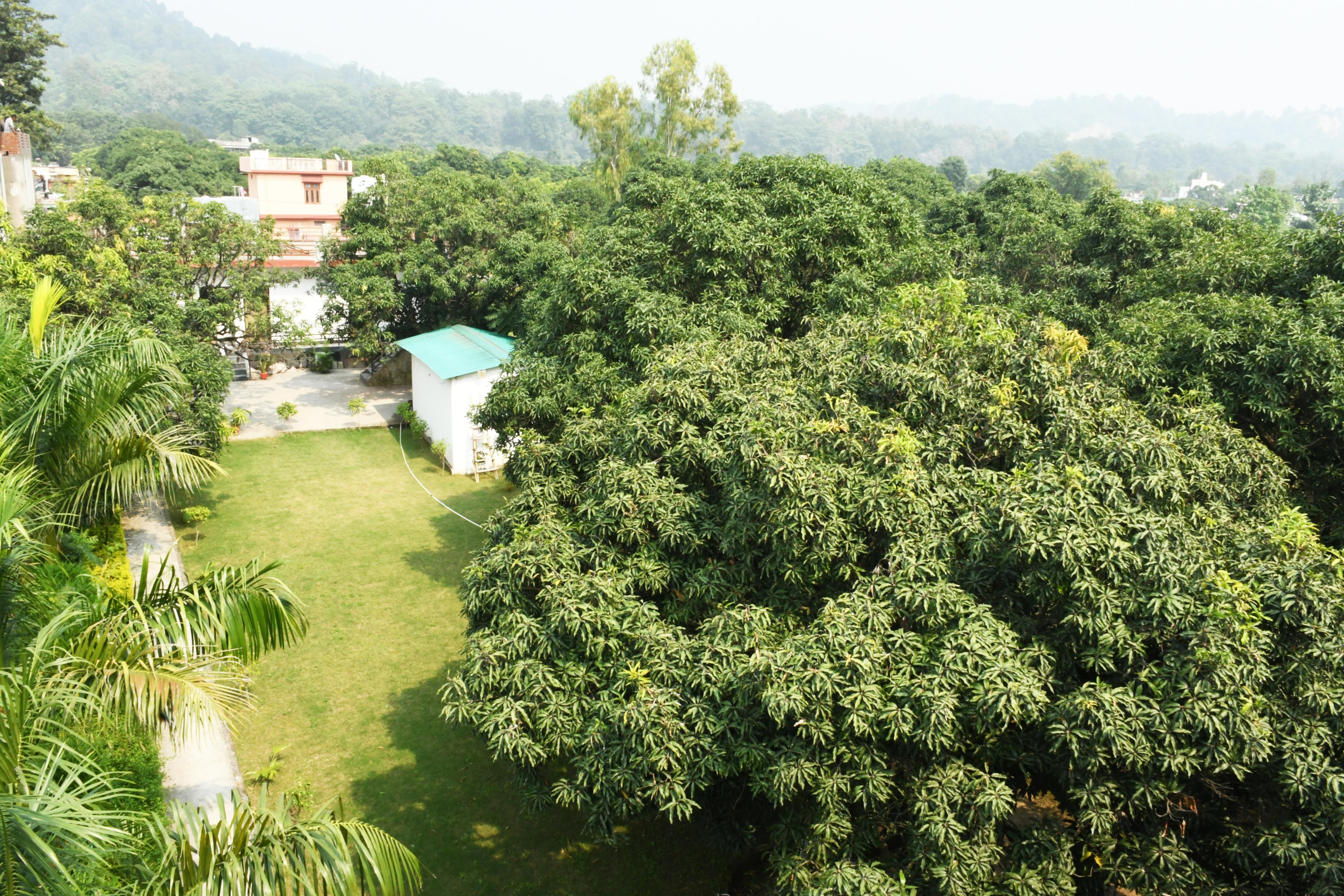 Nature Nest Luxury Corbett