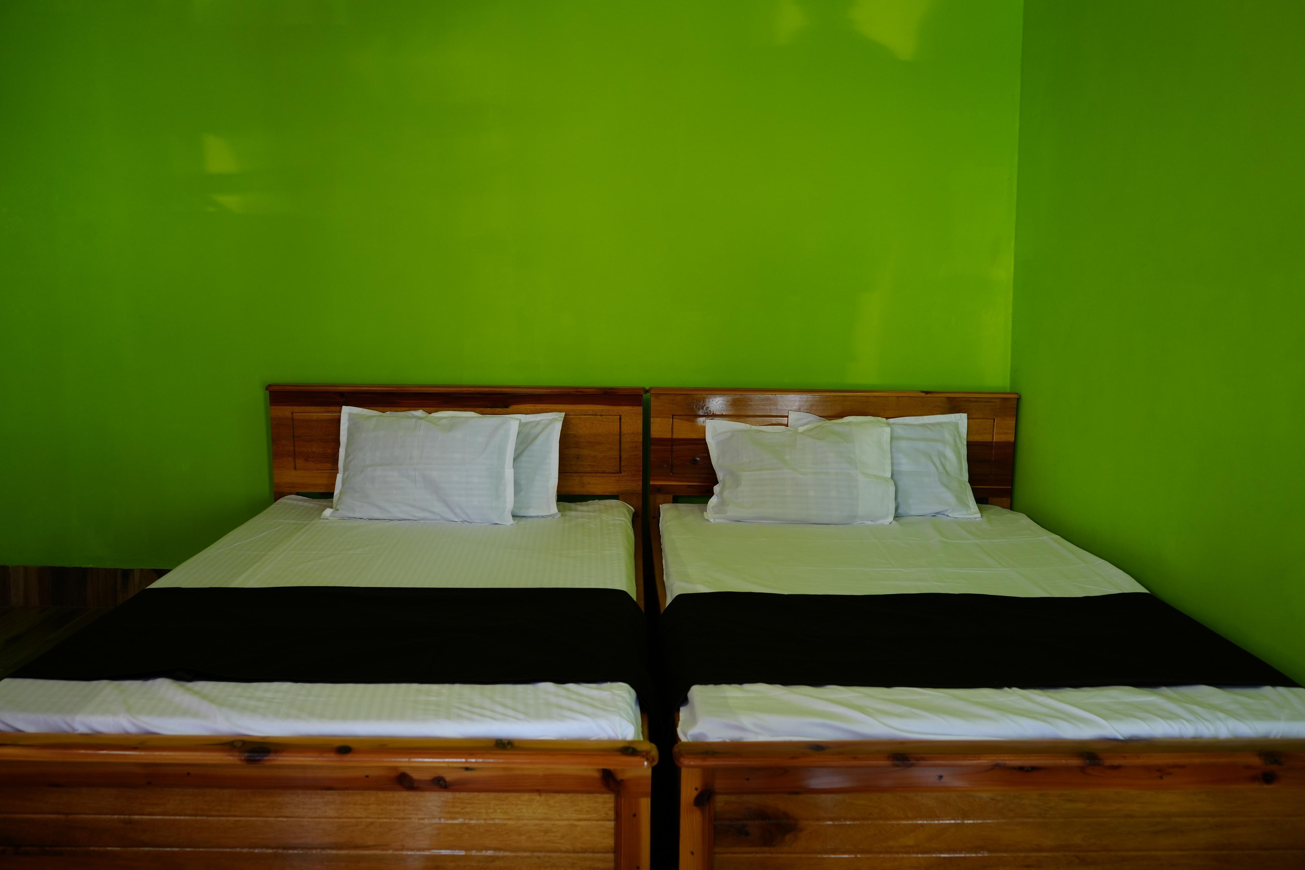Paharia Homestay - Tap to explore photos