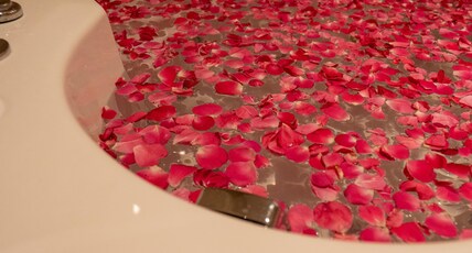 Hotel Grand Ajantha Room Type - Grand Suite