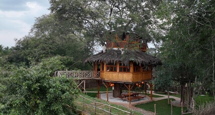 Wonderland by Jade - Treehouse Villa Room Type - Wonderland by Jade - Treehouse Villa