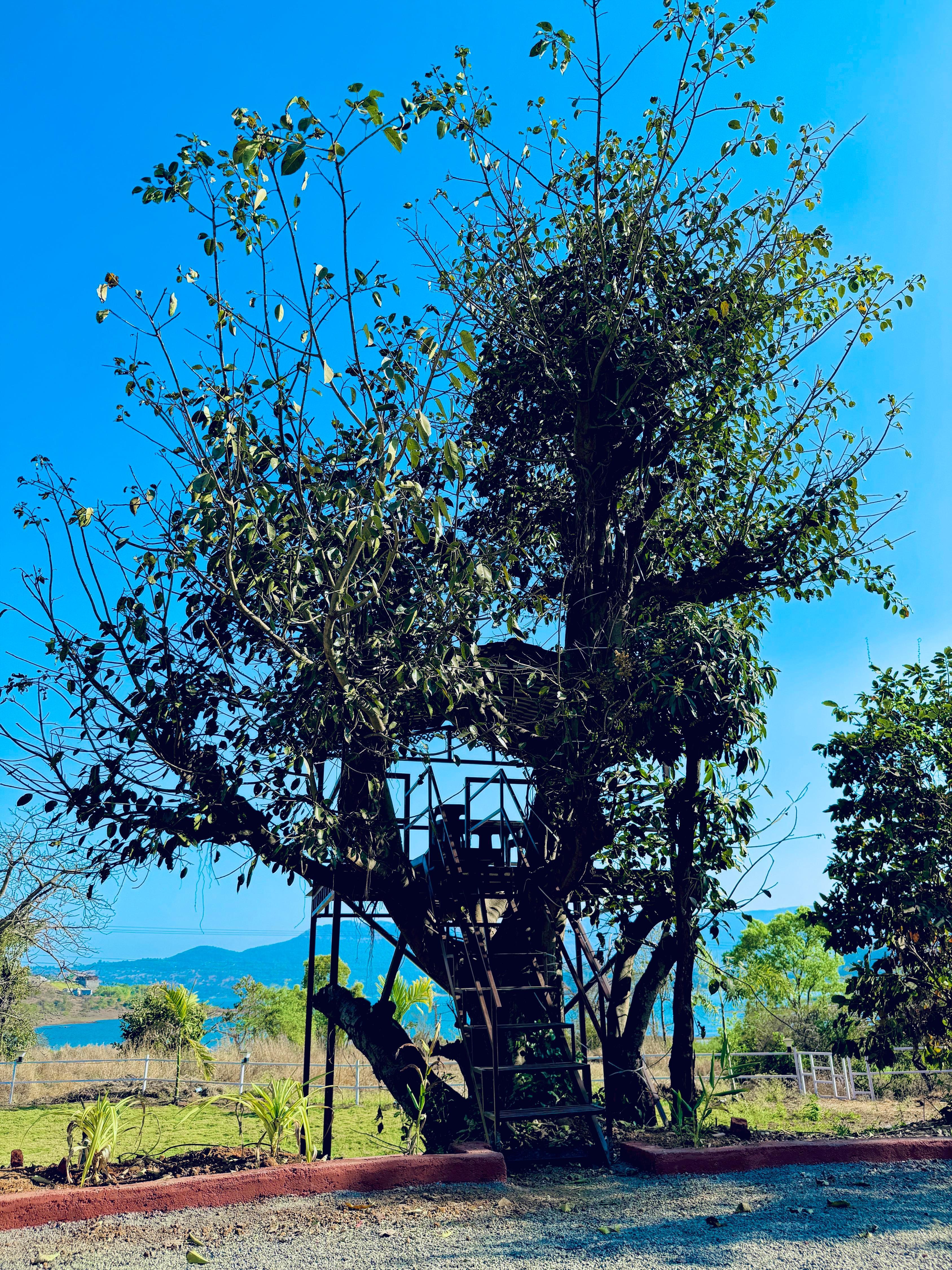 Royal Orbit Resort - Tap to explore photos