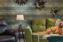 Vistara Apartments@ Noida