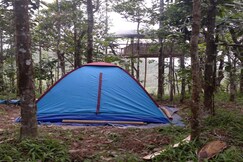 Pepper Mist Wayanad Homestay