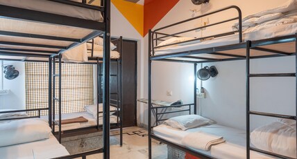 Whiite Panda-Backpaker Hostel in Delhi Greater Kailash Room Type - 8 Bed Mix Dorm with Balcony and Curtains