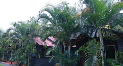 Aravind Kalpavruksha Resort Room Type - Private Cottages