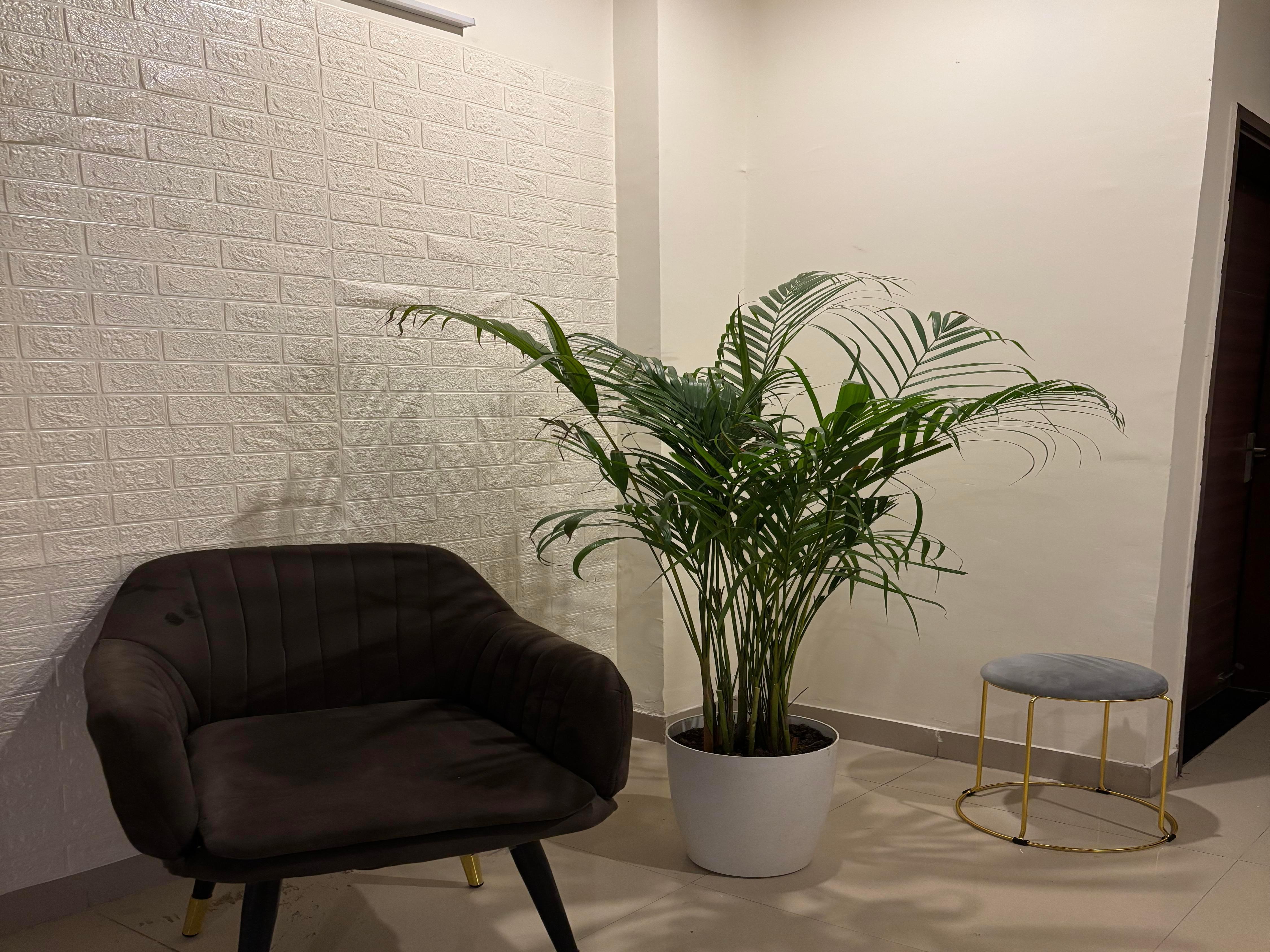 Executive Inn - Tap to explore photos