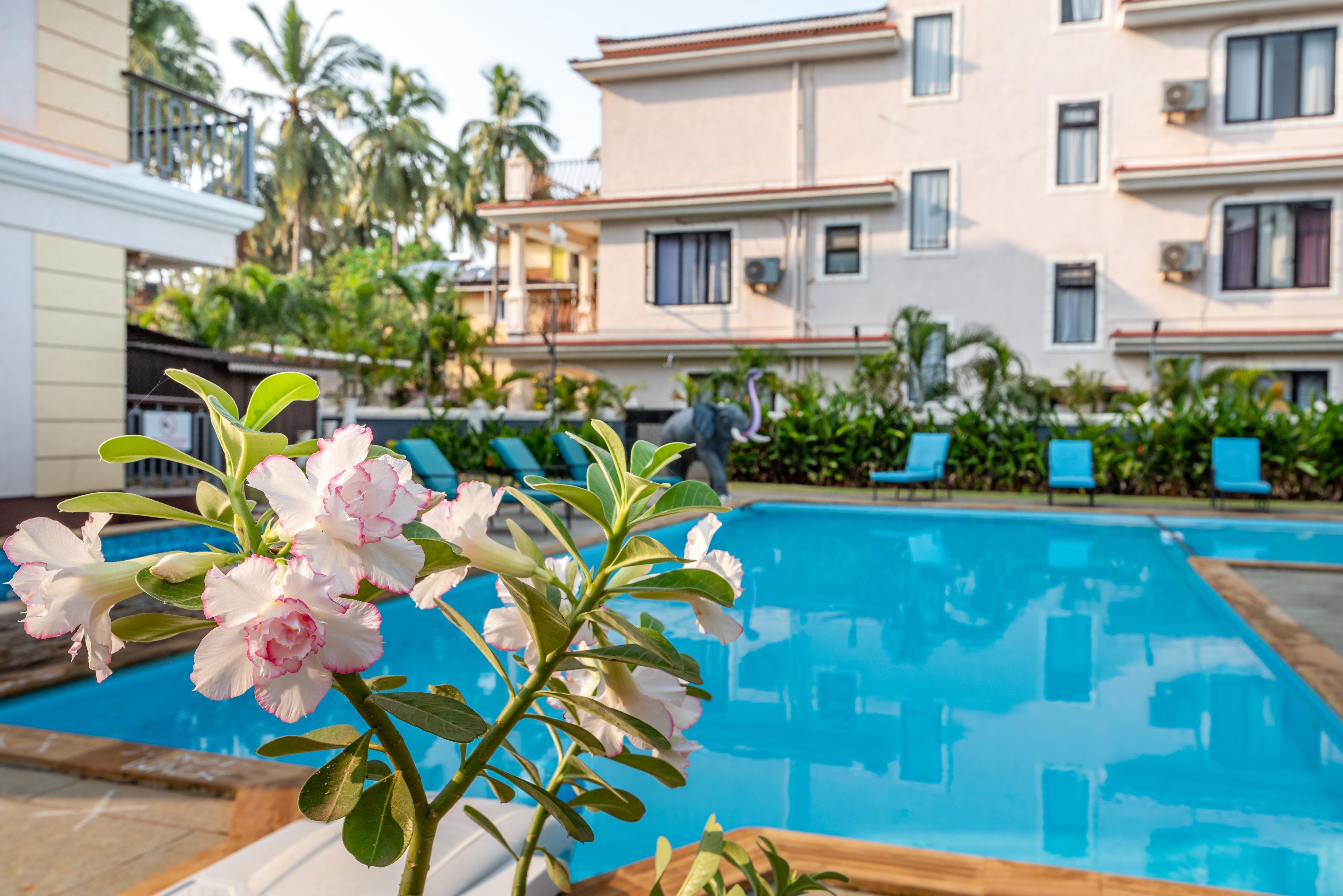 16BHK Party Villa | 700m from Beach | Pvt Pool & Lawn - Tap to explore photos