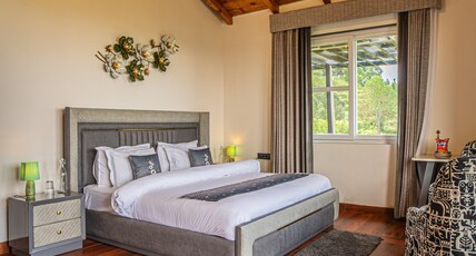 Alaya Stays Trios Top Pet friendly room with Valley views Room Type - Valley View Retreat