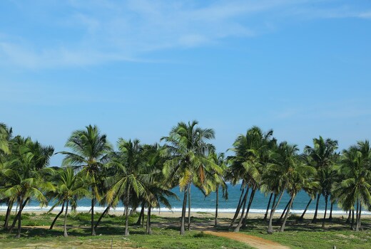 Sea Wave Beach Resort