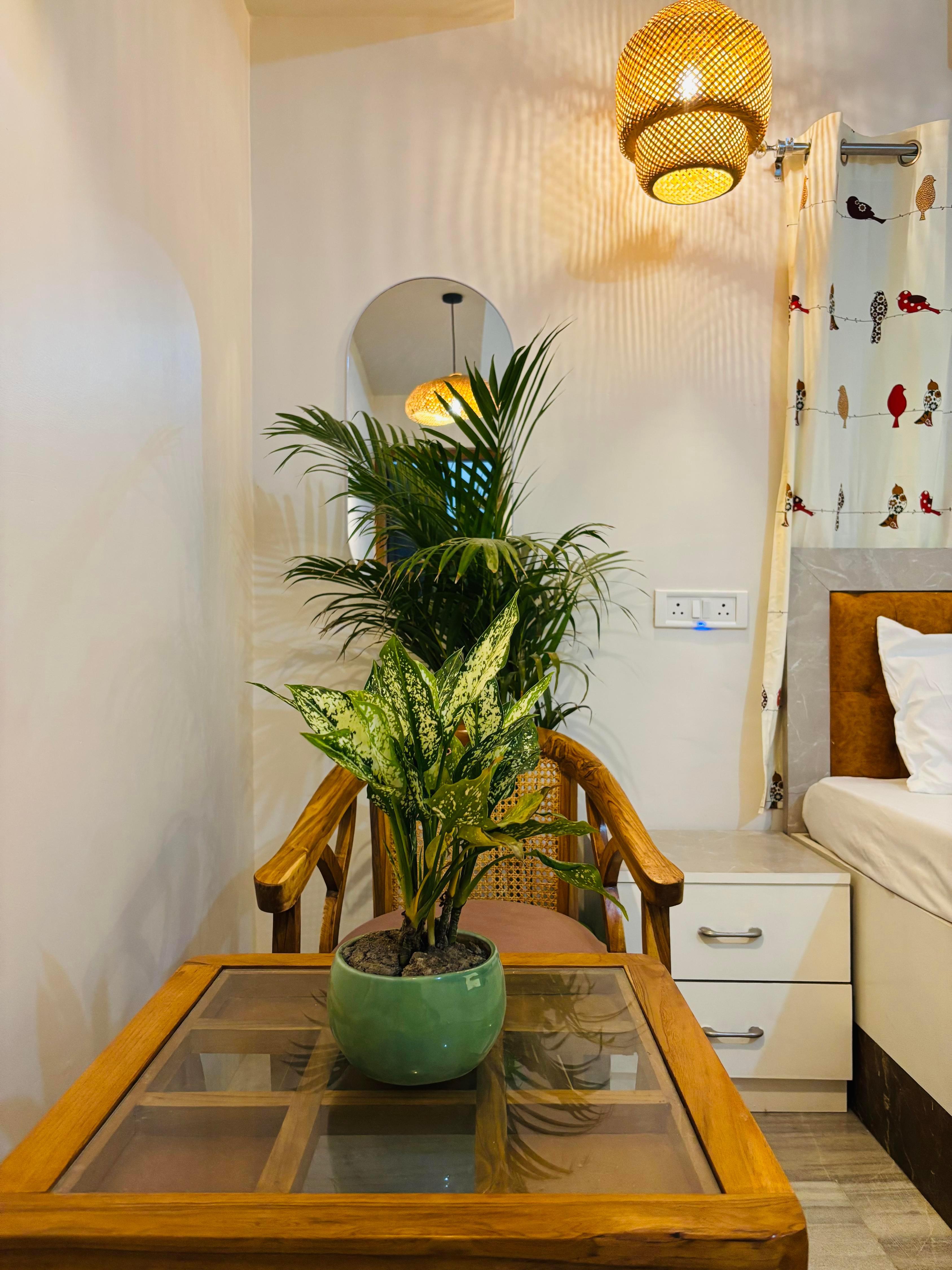 Private Room, 400 meters from Banaras Railway Station|Homestay with Kitchen Access - Tap to explore photos