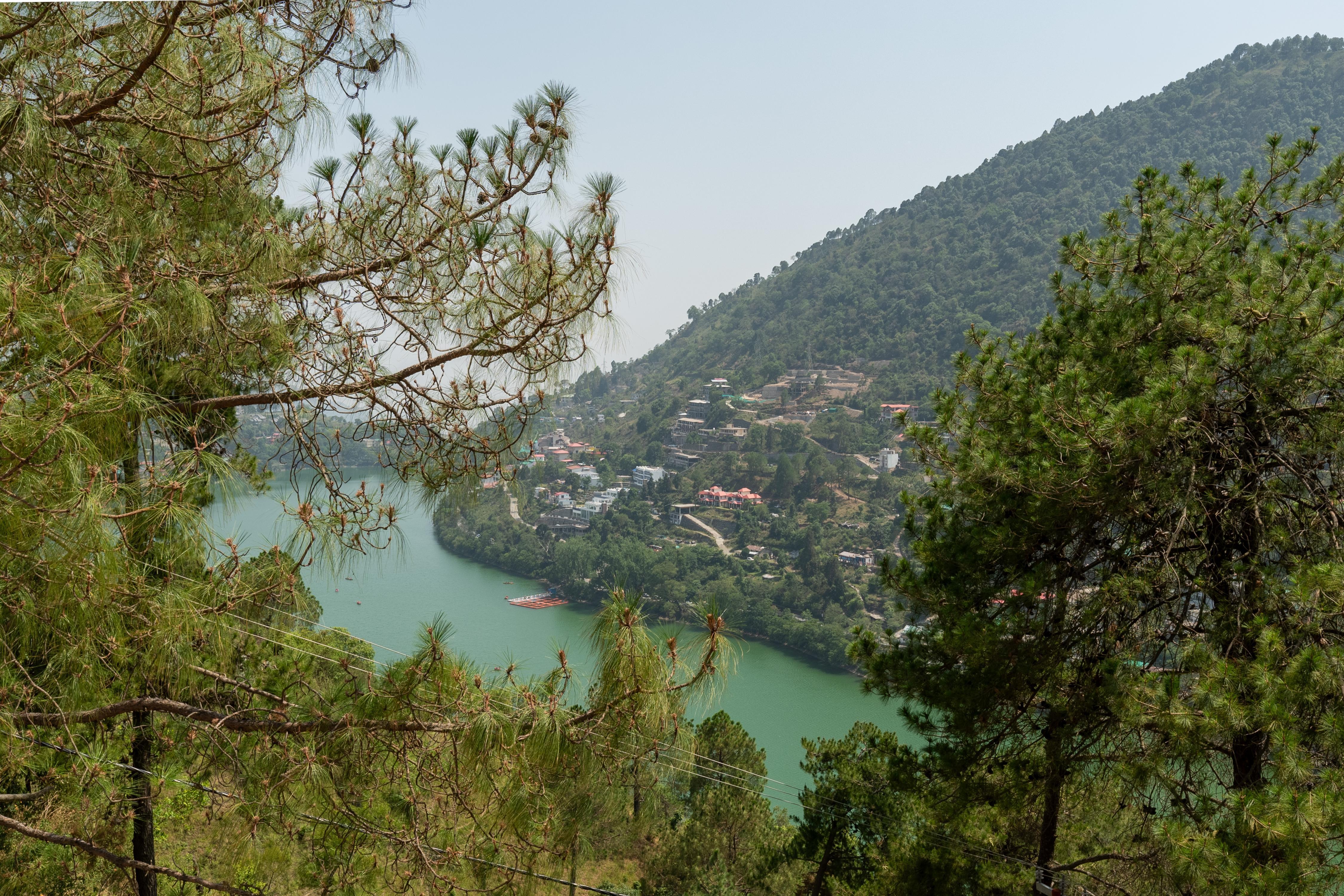 Pansy   Private room w Shared pool