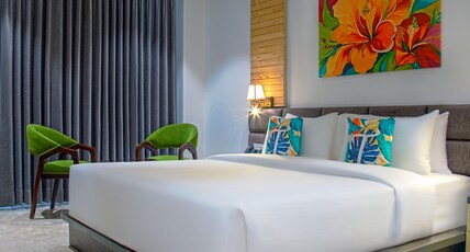 TreeHouse Velis Room Type - Premium Room