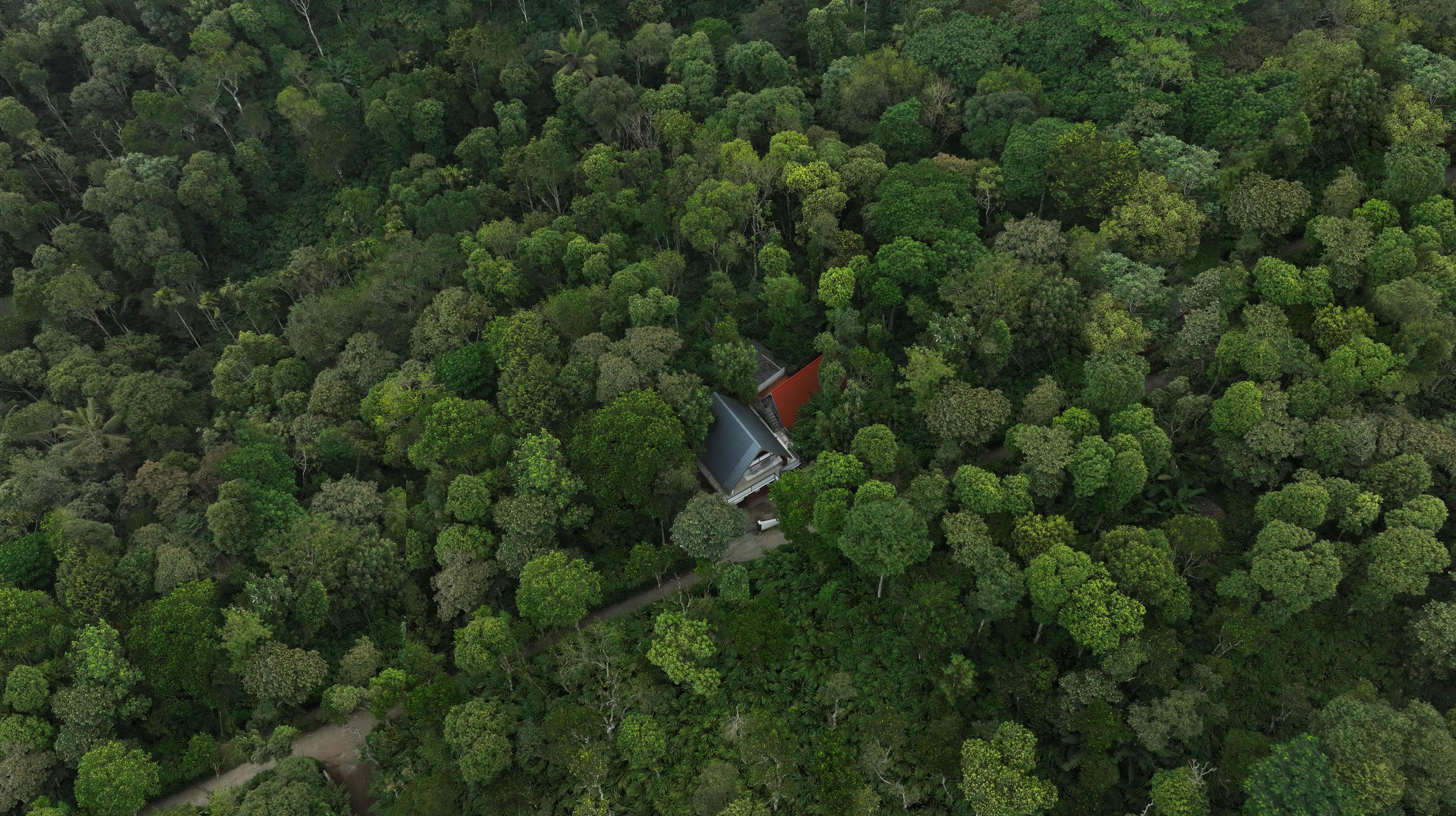 Tapovana - Hillside Retreat - Tap to explore photos