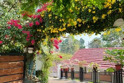 Little Chandana Kottayam