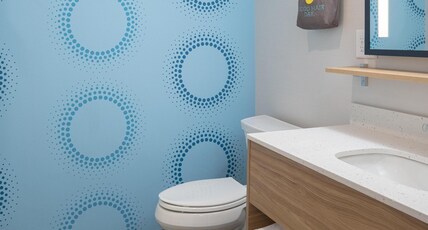 Tru by Hilton Spring Hill Room Type - 2 QUEEN BEDS