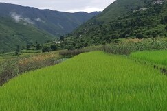 Sajwan home stay pantwari Tehri garhwal