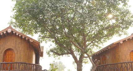 Jyoti Resort Joypur Room Type - Tree House