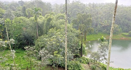 Nirvanica Retreat Wayanad Room Type - Premium Room with Lake View