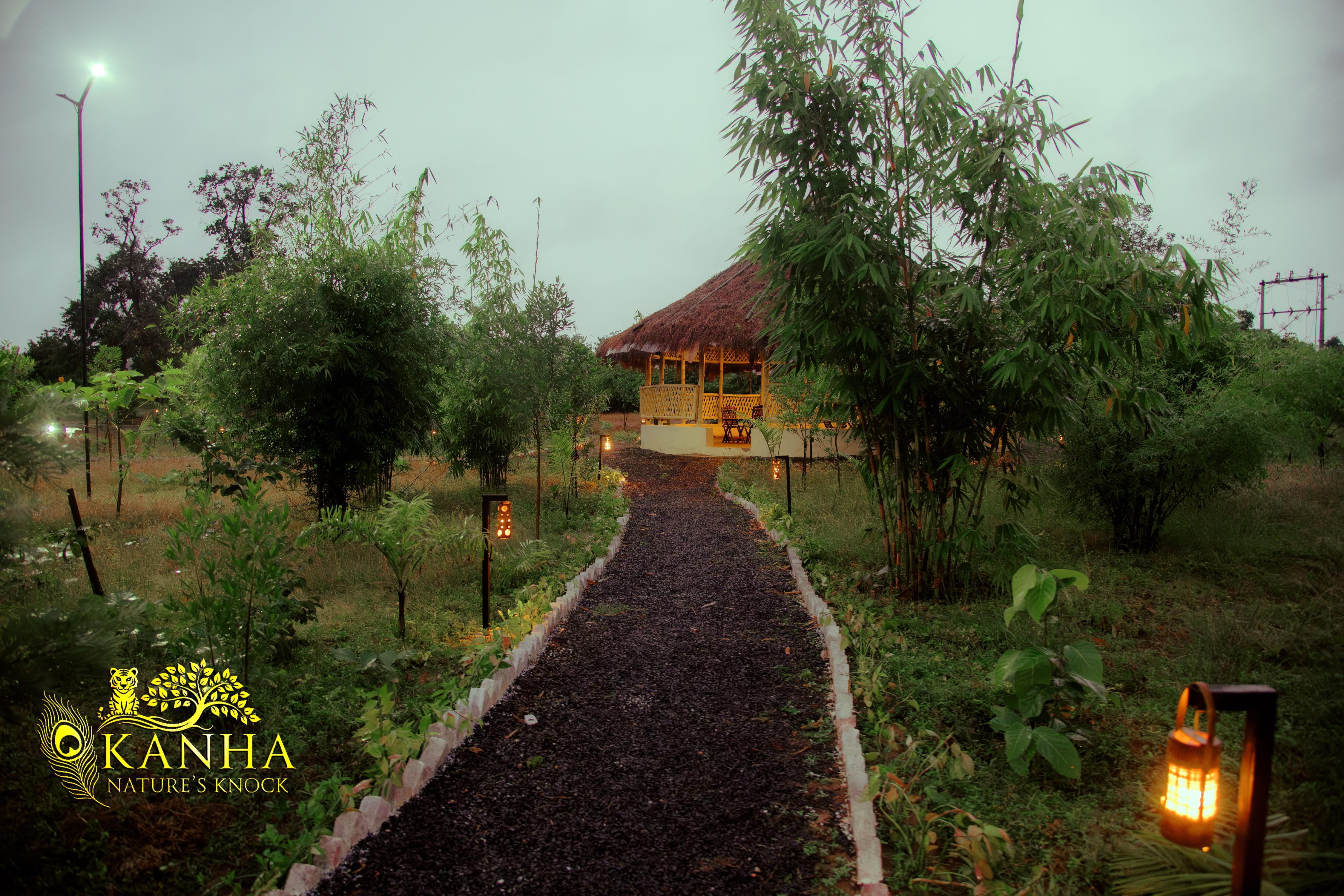 Kanha Nature's Knock - Tap to explore photos