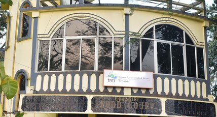 TNTR Tepania Room Type - Tree House
