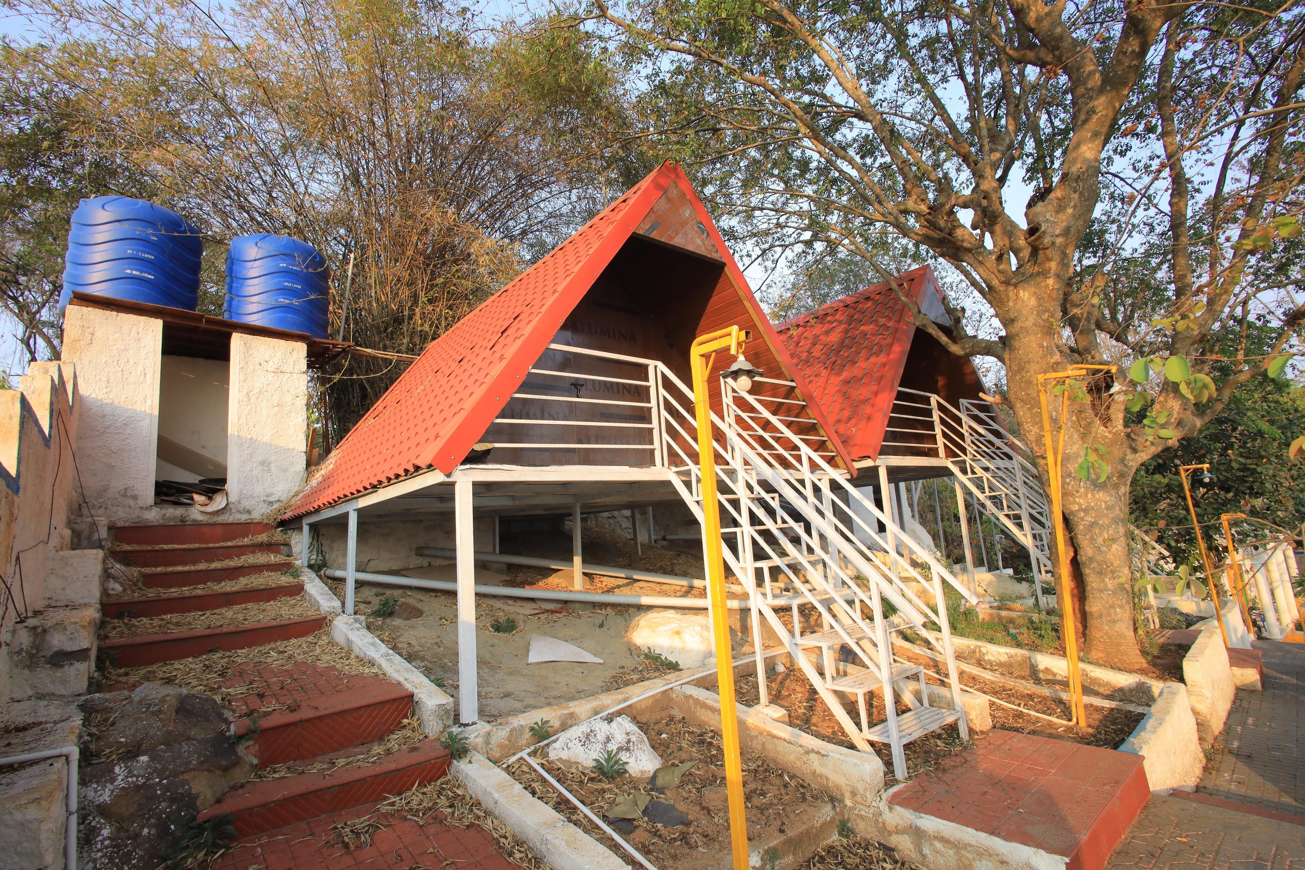 Hill forest Yelagiri