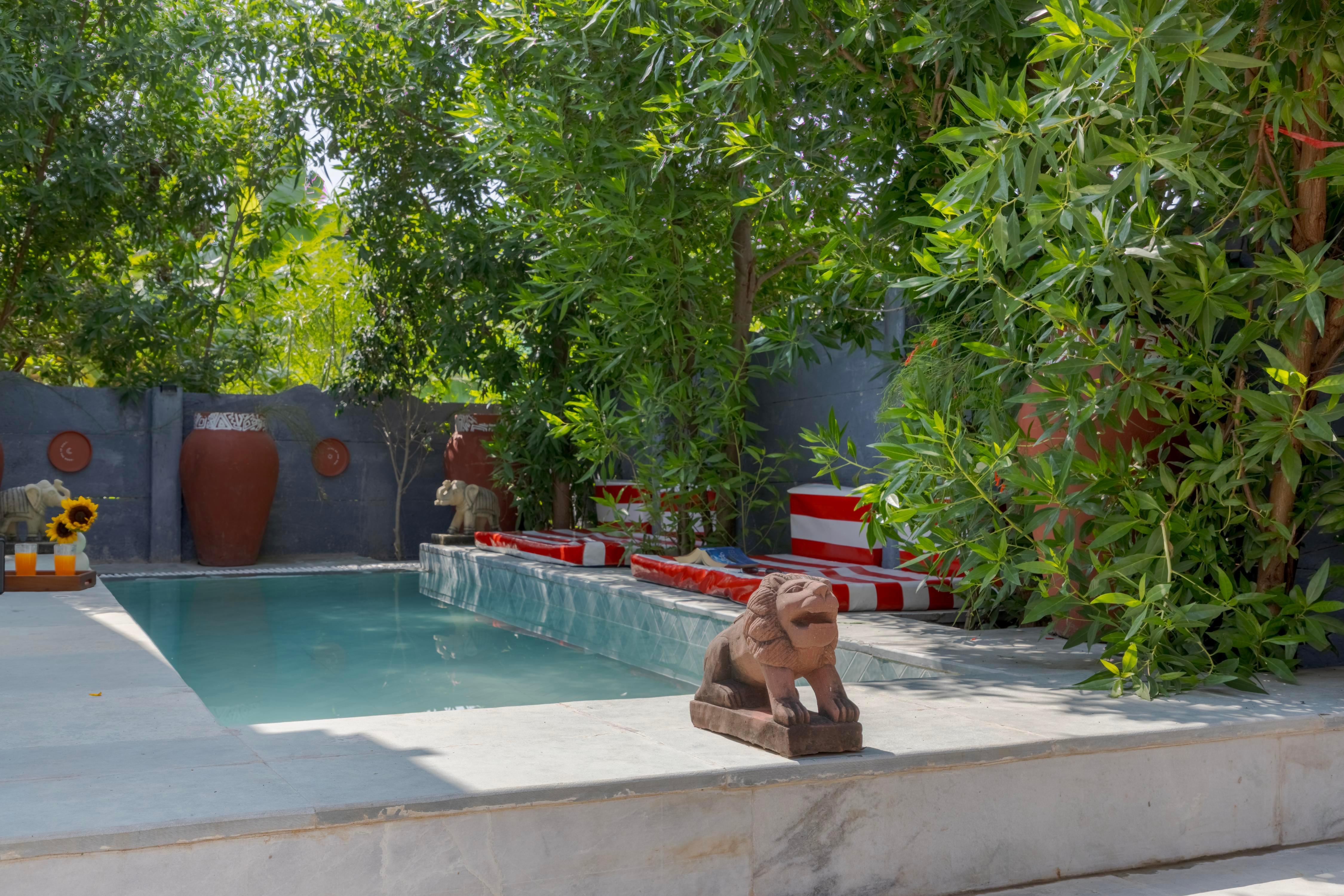 The August Udaipur - Tap to explore photos
