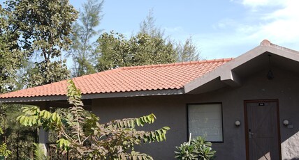 Accord Wildlife Pench Room Type - EXECUTIVE ROOMS