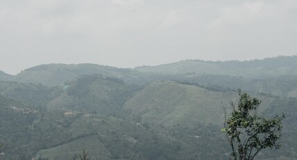 Thumpayil Hills Plantation Homestay Vagamon Room Type - Plantation Cottage