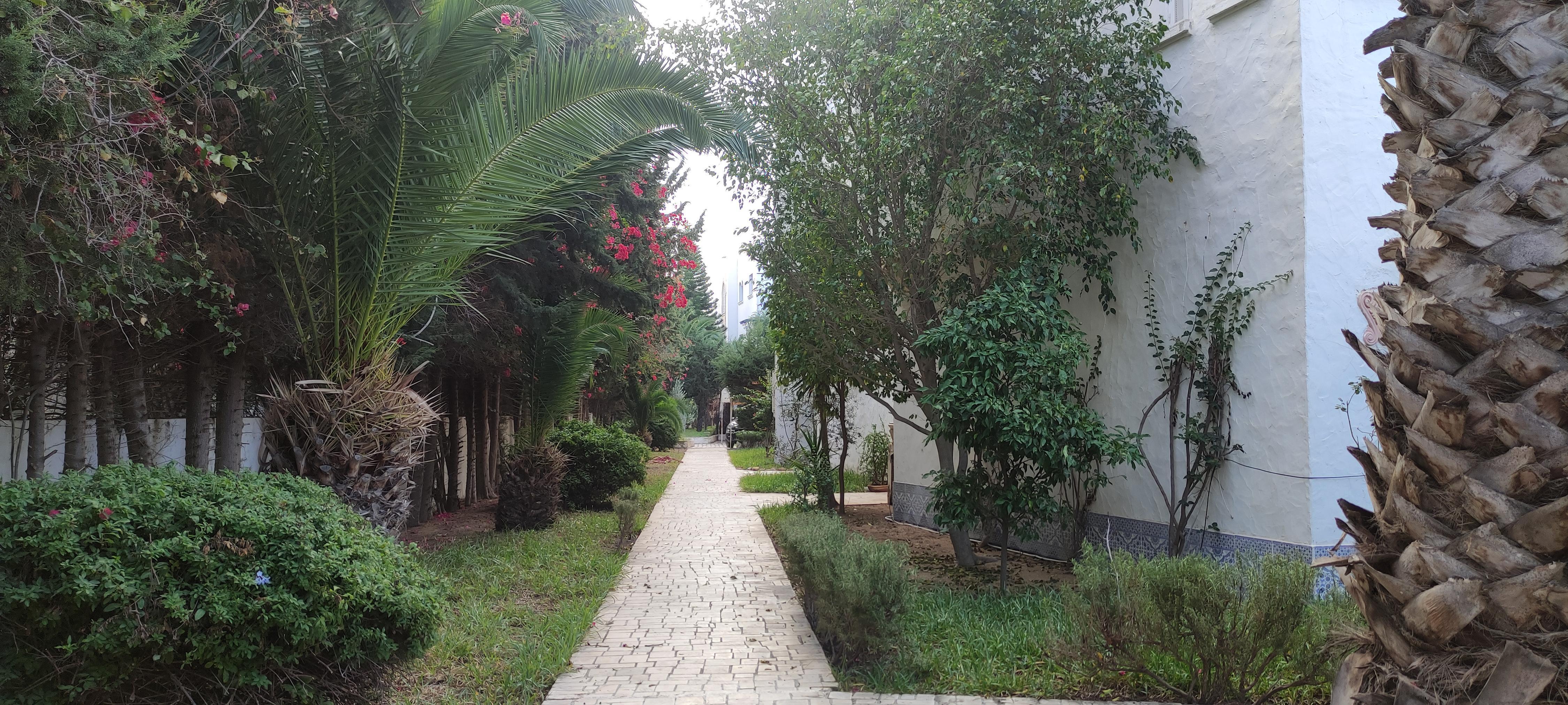 Yasmina apartment in Yasmine Hammamet