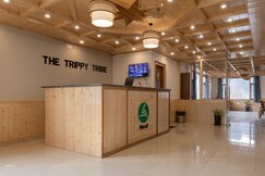 Rooms of The Trippy Tribe Manali