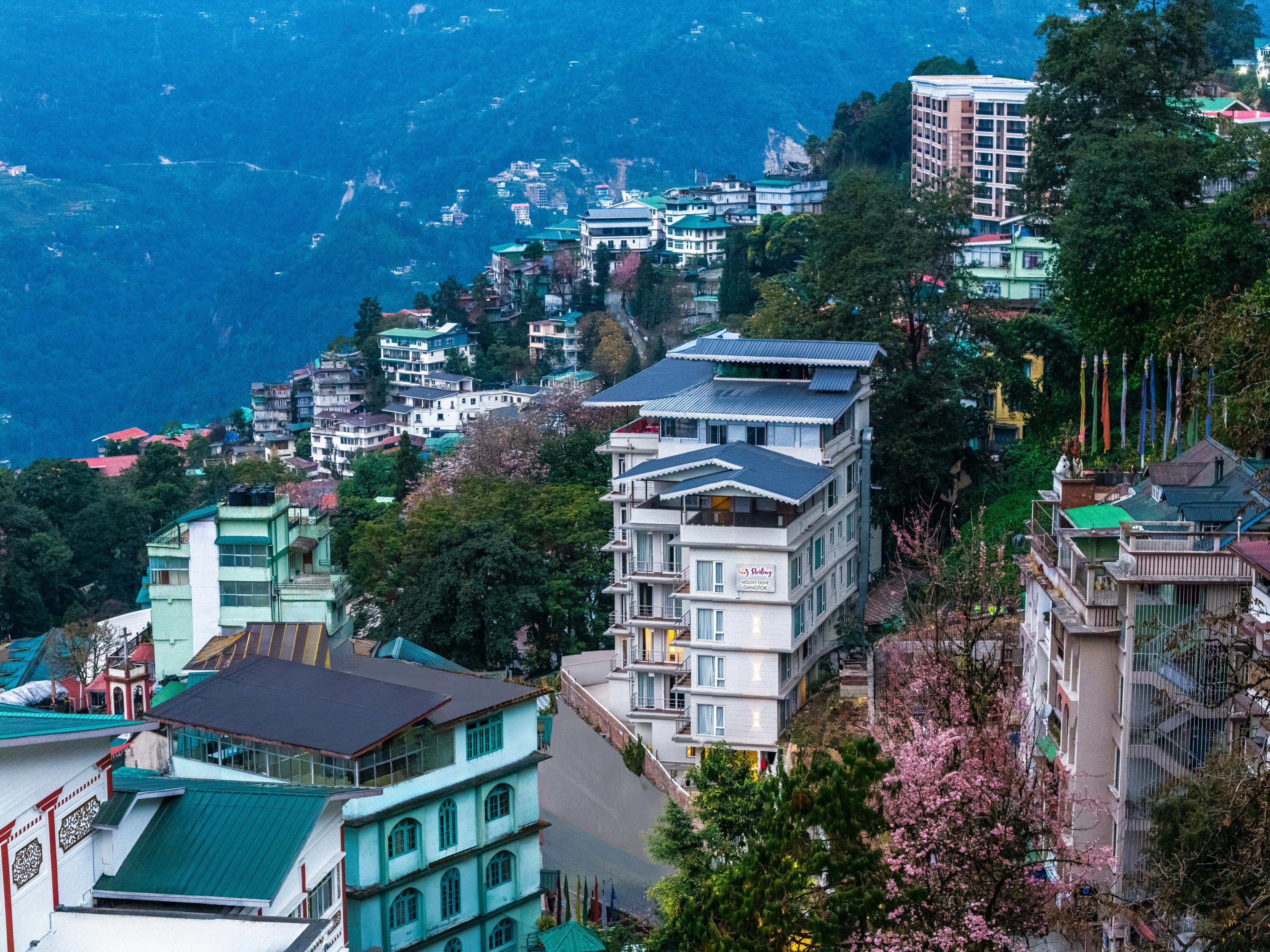 Sterling Mount Olive Gangtok - Tap to explore photos